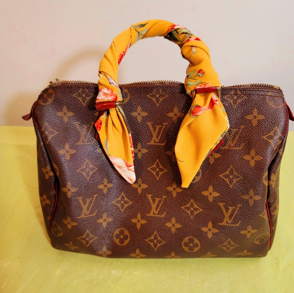 Louis Vuitton Speedy Boston